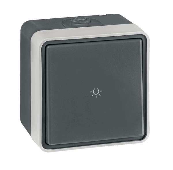 22505.A1 Taster sklopka svetlo PROTECTA 10AX 250V~ IP55, tamno siva