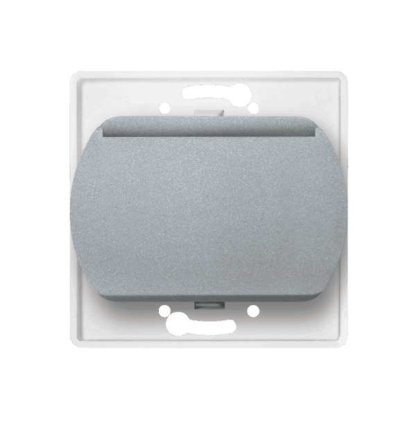 E6095.S Taster sklopka kartična bez maske EON 10A 250V~, silver