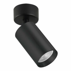 Plafonska lampa AFS121-1C BK