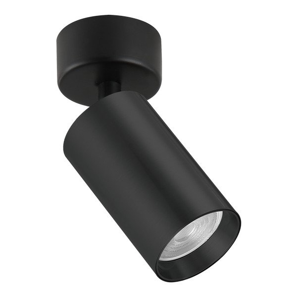 Plafonska lampa AFS121-1C BK