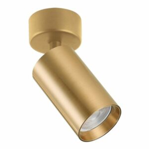 Plafonska lampa AFS121-1C SG