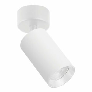 Plafonska lampa AFS121-1C WH