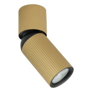 Plafonska lampa AFS117-1C SG