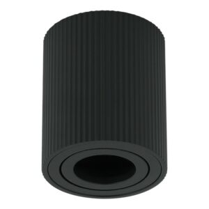 Plafonska lampa AFS118-1C BK