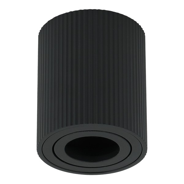 Plafonska lampa AFS118-1C BK