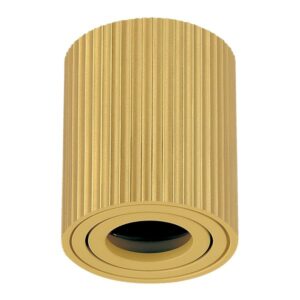 Plafonska lampa AFS118-1C SG