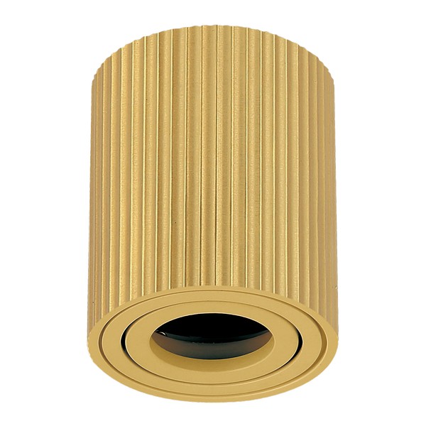 Plafonska lampa AFS118-1C SG