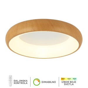 LED plafonska lampa F2081-58C WD
