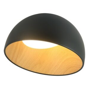 LED plafonska lampa FK2001-24C BK
