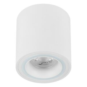 Plafonska lampa AFS116-1C WH