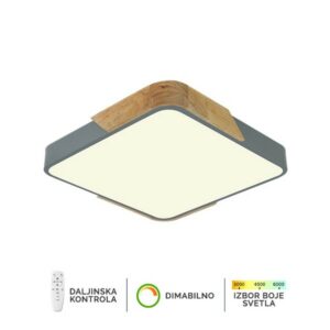 Plafonska lampa F2812-20C SV + DW