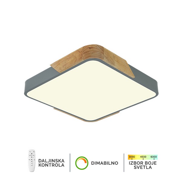 Plafonska lampa F2812-20C SV + DW